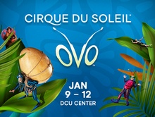 Cirque Du Soleil - OVO